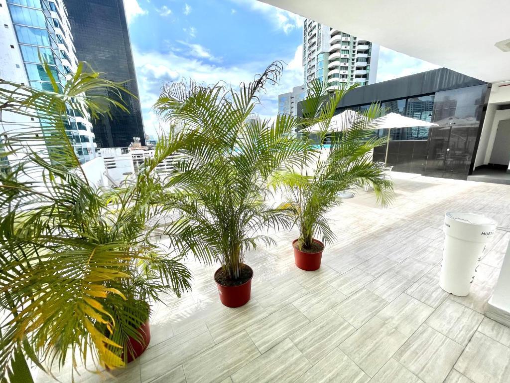 W Panama Hotel Екстериор снимка